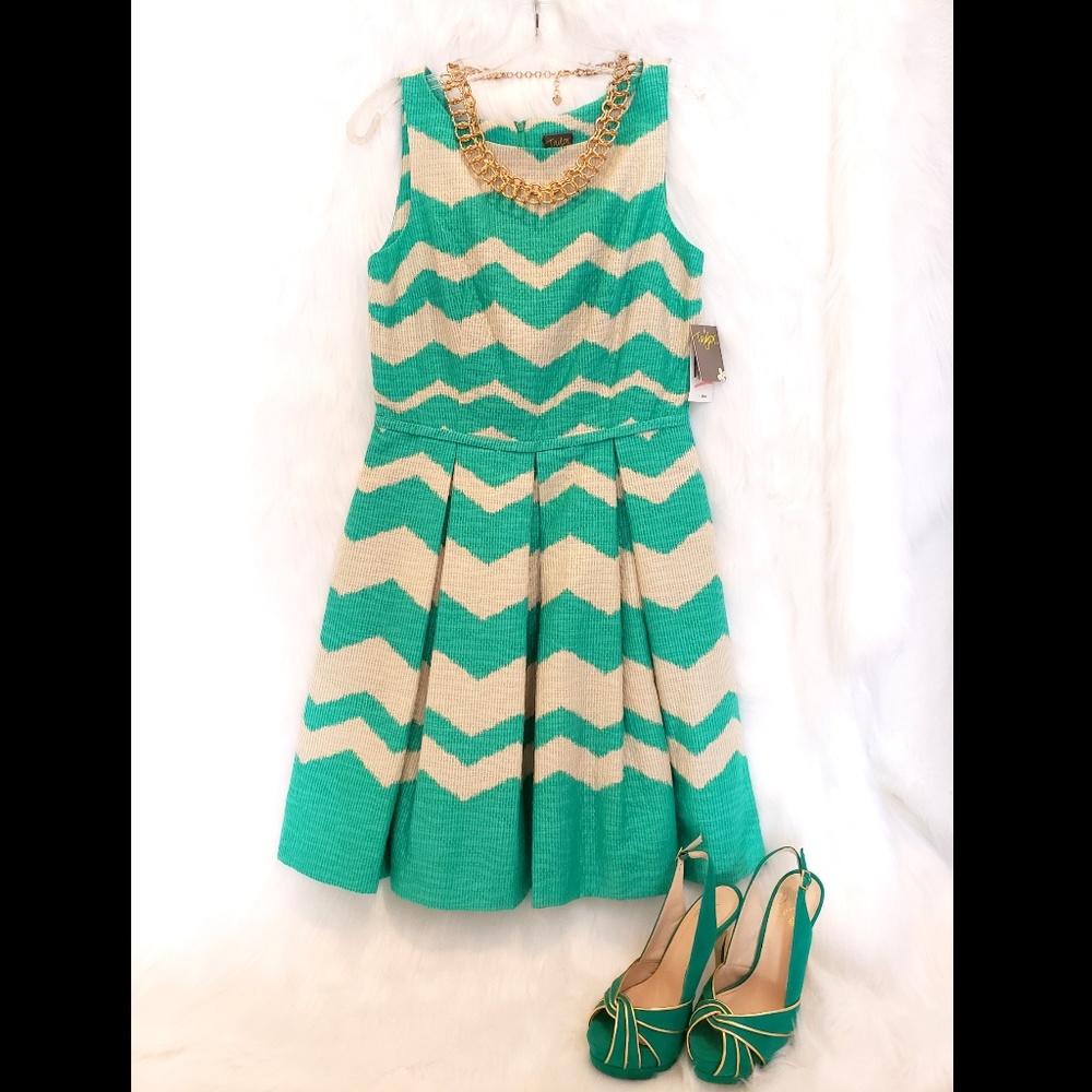 NWT Taylor Sleeveless Fit & Flare Dress
